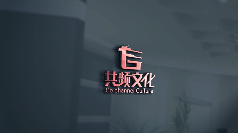 MG动画制作：价格区间揭秘与选择指南