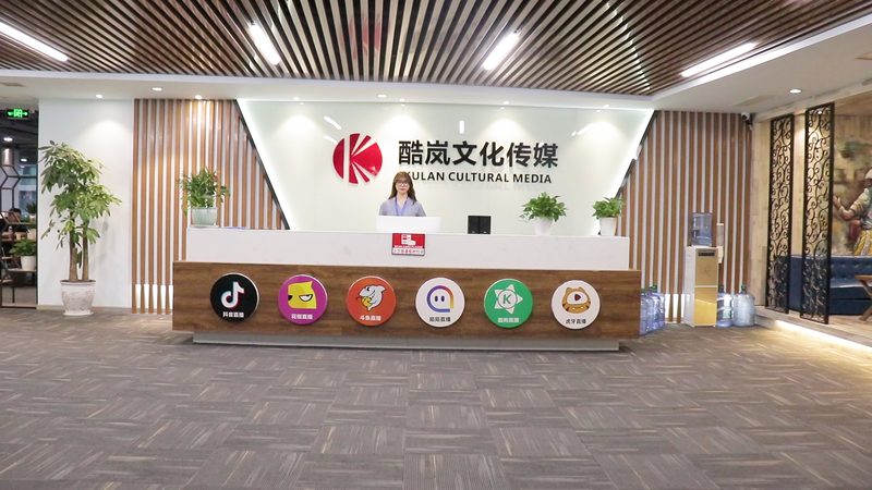 揭秘：传媒公司排名背后的逻辑与趋势**